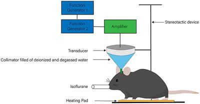 Transcranial low-intensity ultrasound stimulation for treating central nervous system disorders: A promising therapeutic application